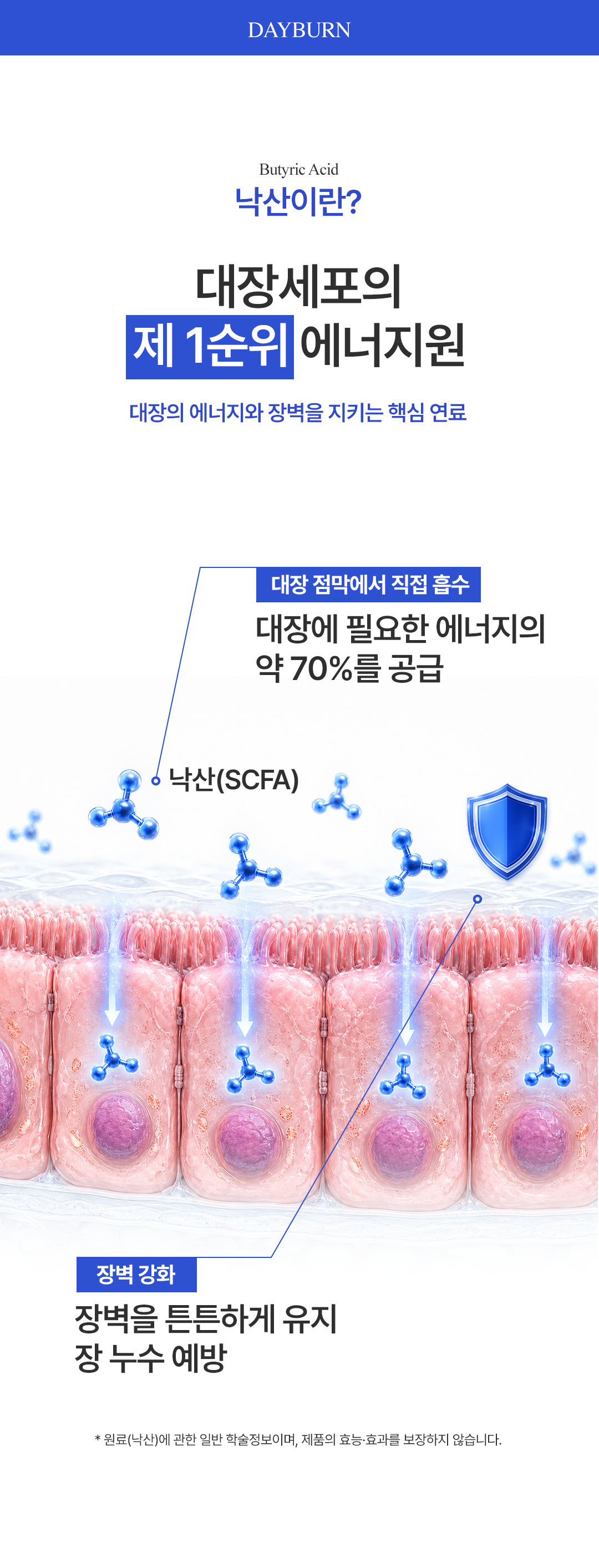 데이번
