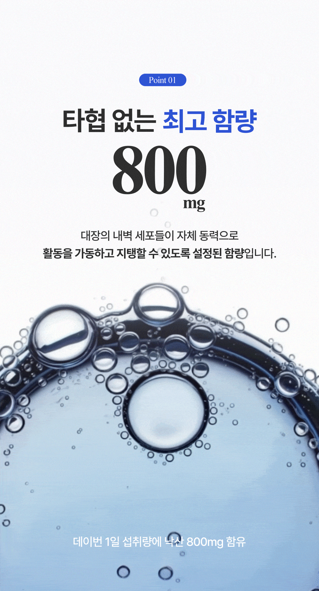 데이번