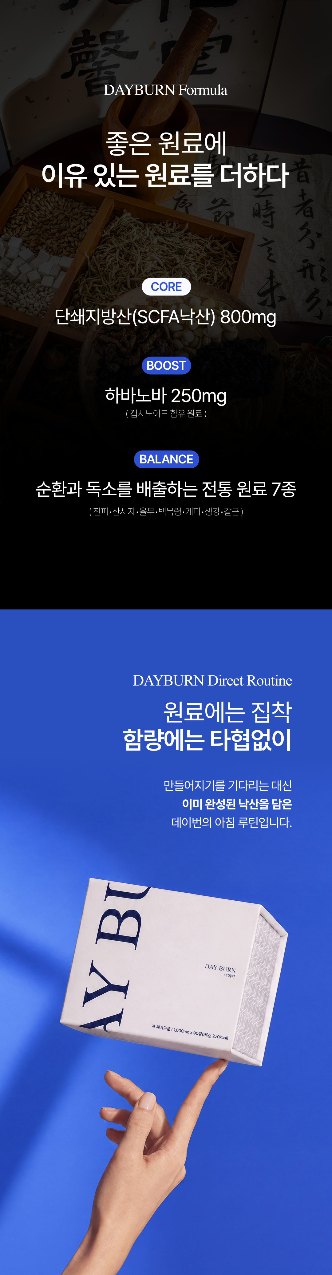 데이번