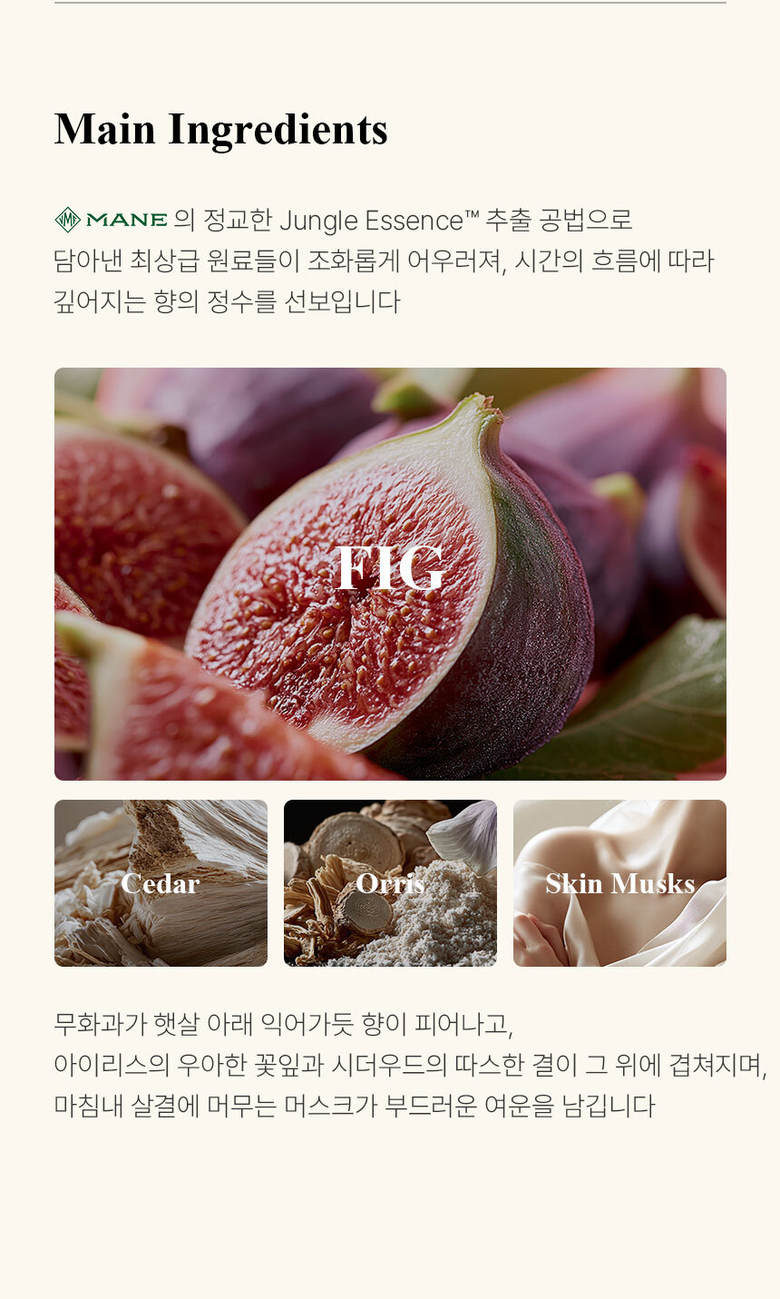 [백화점] 더 리더스 노트 오 드 퍼퓸 EDP 니치 향수 피그페더, 30ml, 1개 상세 이미지 11