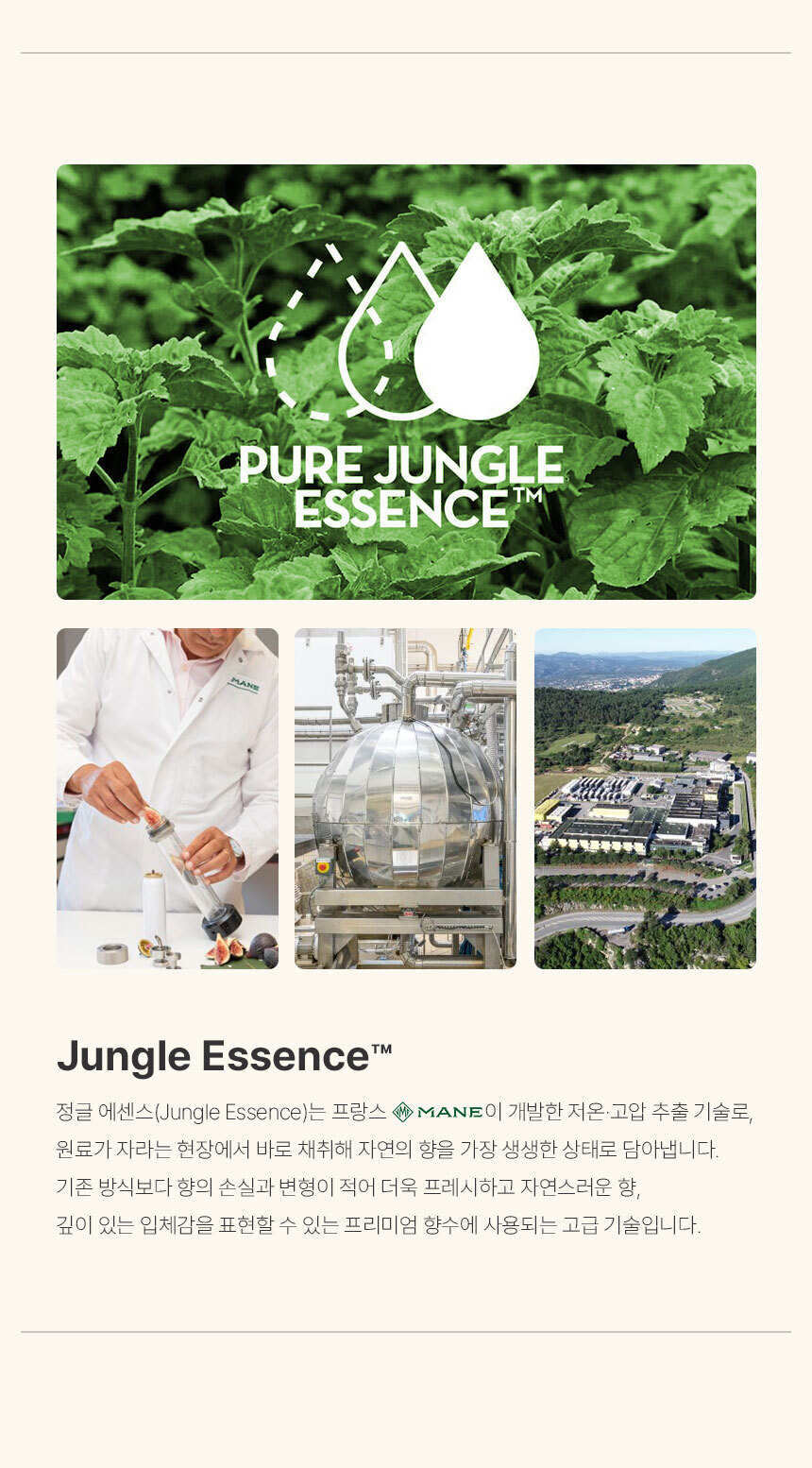 [백화점] 더 리더스 노트 오 드 퍼퓸 EDP 니치 향수 피그페더, 30ml, 1개 상세 이미지 13