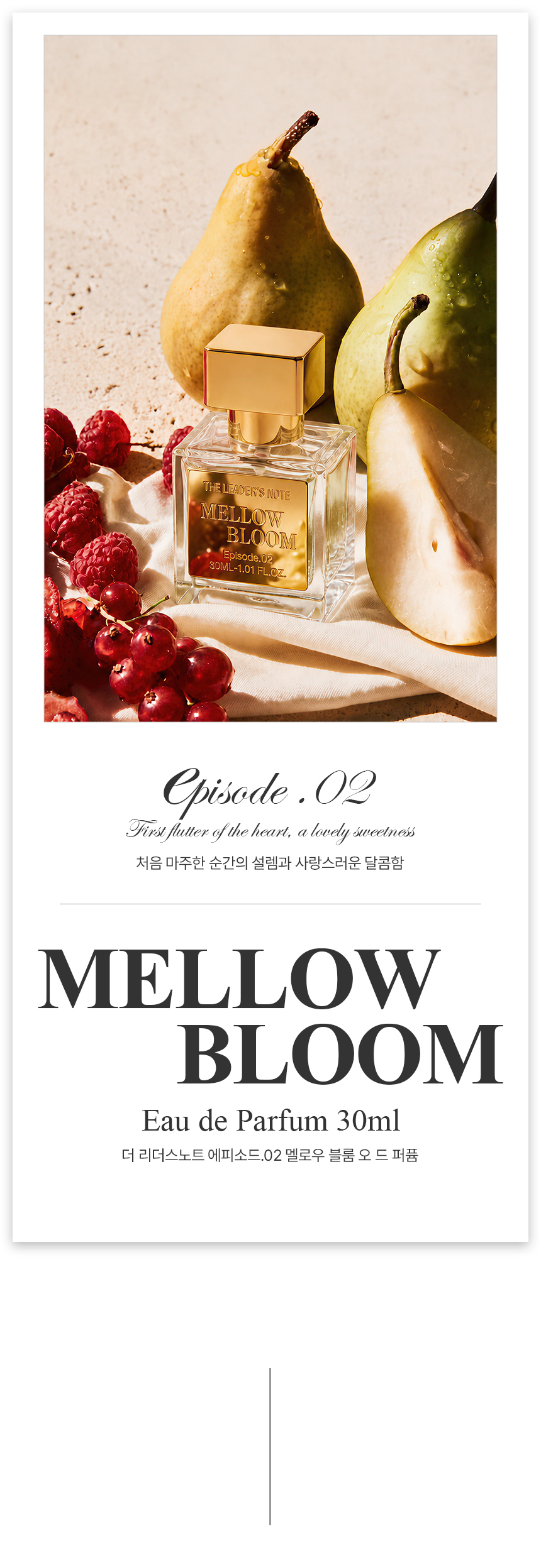 [백화점] 더 리더스 노트 오 드 퍼퓸 EDP 니치 향수 멜로우 블룸, 30ml, 1개 상세 이미지 1