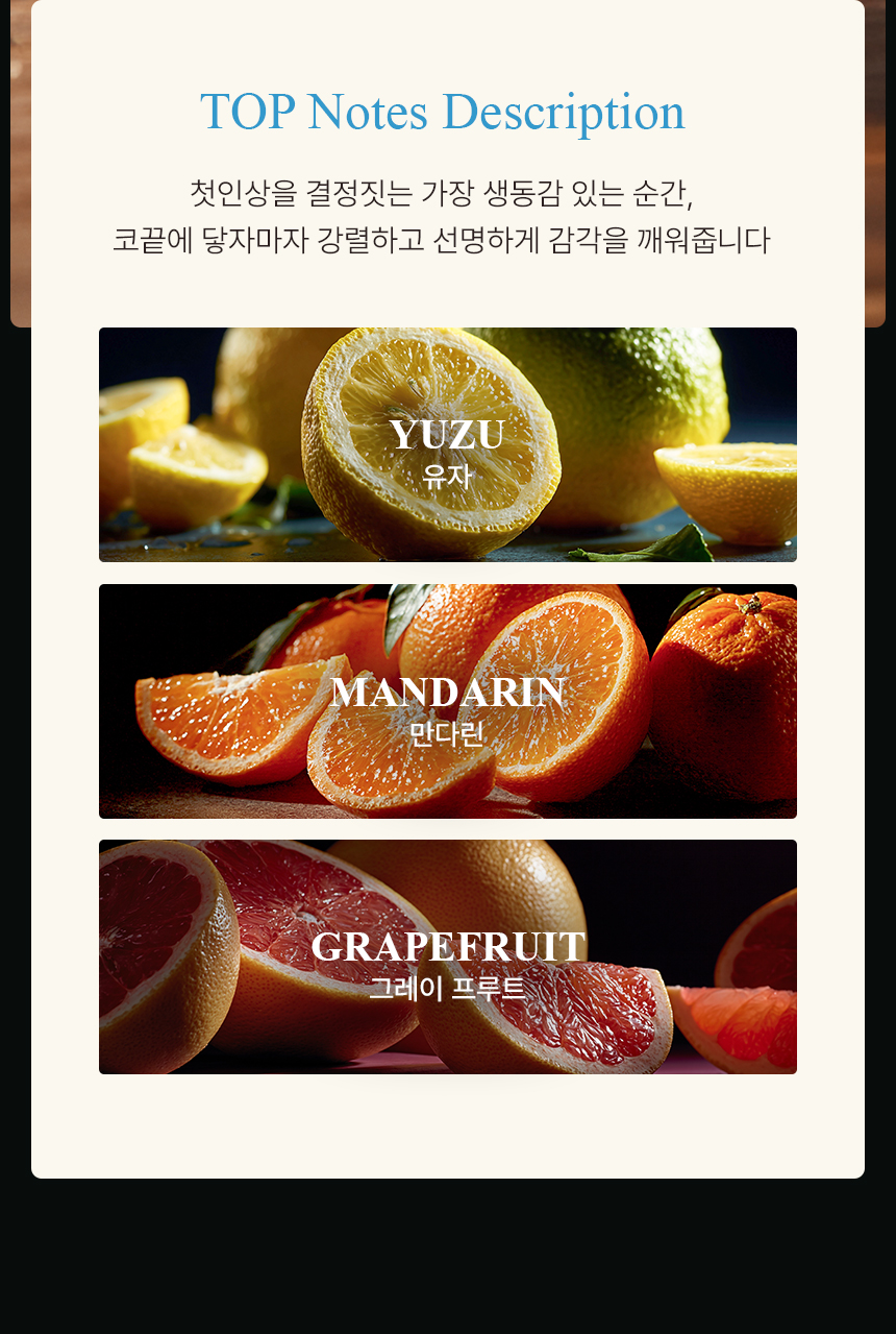 [백화점] 더 리더스 노트 오픈마인드 오 드 퍼퓸 EDP 니치 향수 시트러스마린향, 50ml, 1개 상세 이미지 8