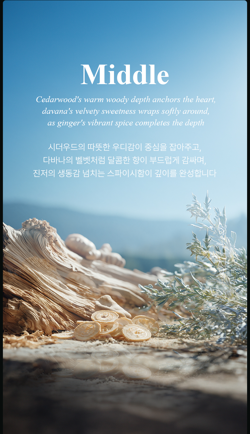[백화점] 더 리더스 노트 오픈마인드 오 드 퍼퓸 EDP 니치 향수 시트러스마린향, 50ml, 1개 상세 이미지 9