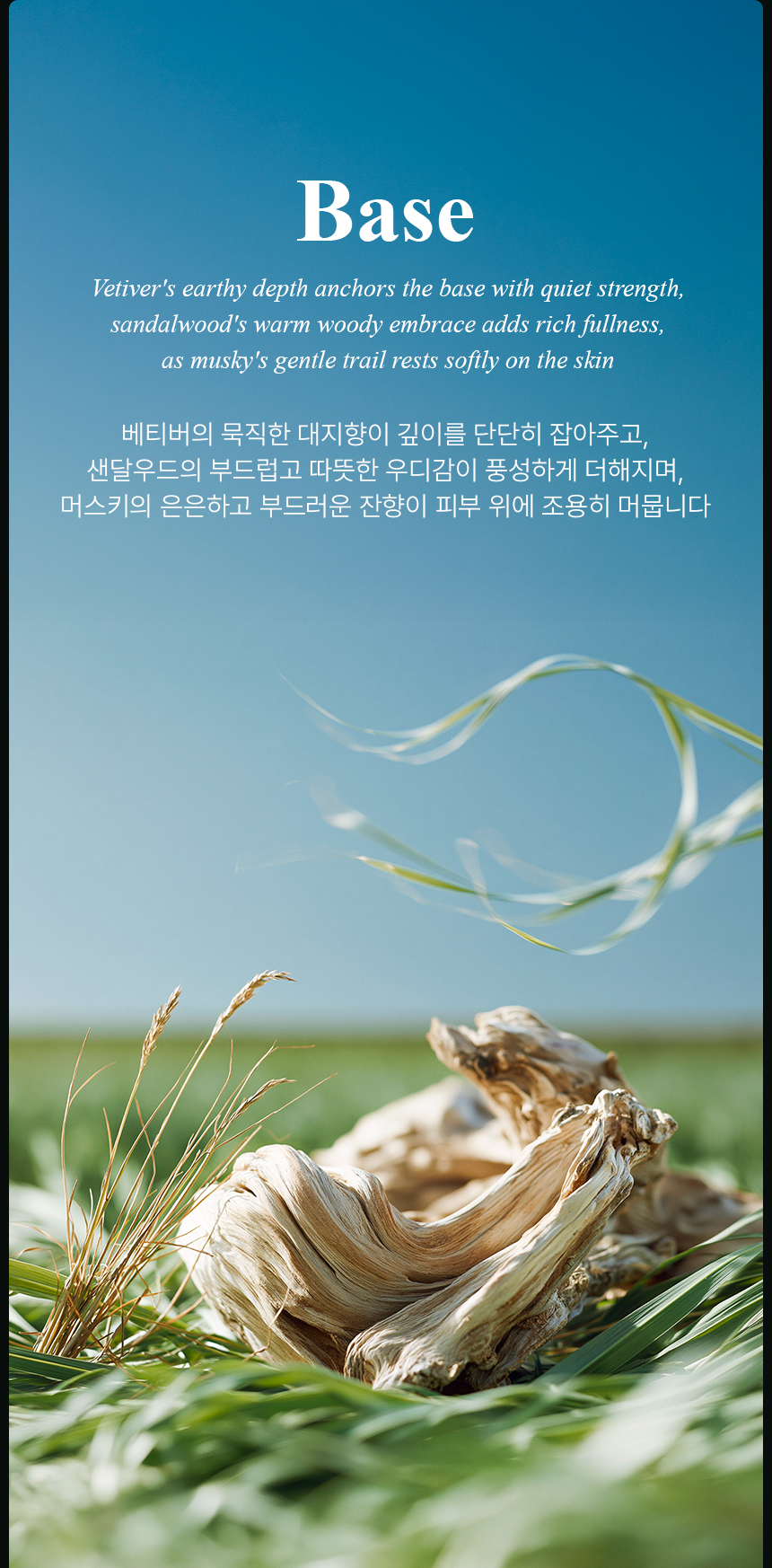 [백화점] 더 리더스 노트 오픈마인드 오 드 퍼퓸 EDP 니치 향수 시트러스마린향, 50ml, 1개 상세 이미지 11