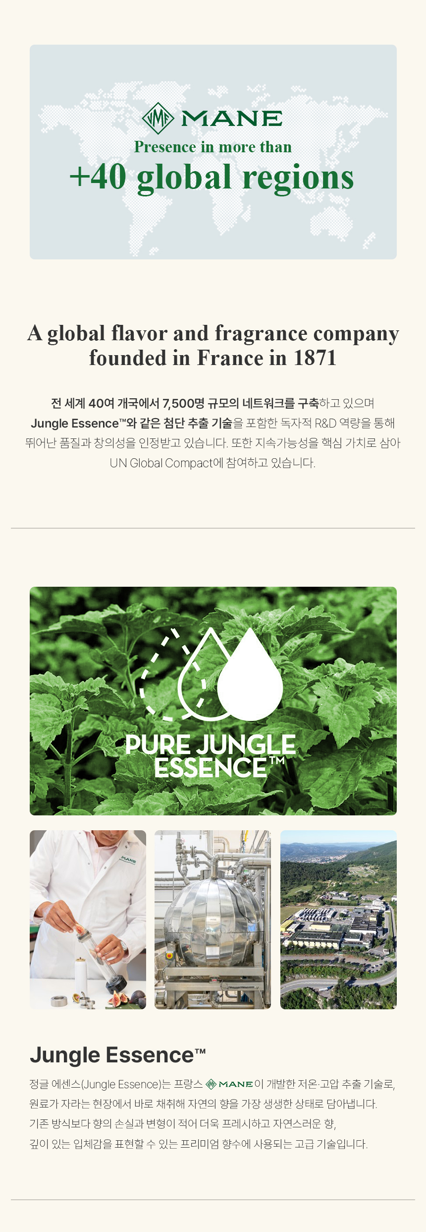 [백화점] 더 리더스 노트 리프레시 오 드 퍼퓸 EDP 니치 향수 그린, 50ml, 1개 상세 이미지 16