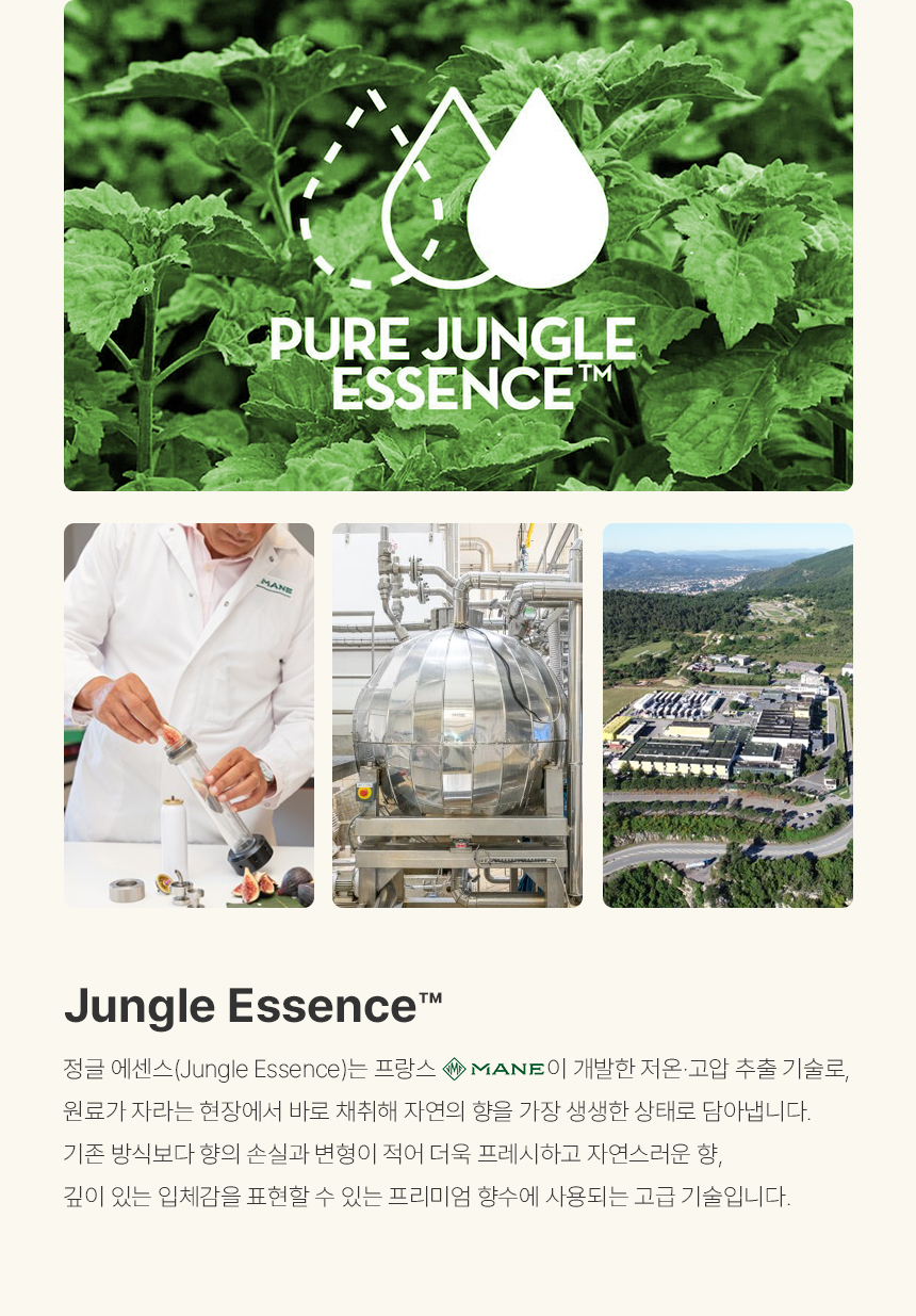 [백화점] 더 리더스 노트 리치패션 오 드 퍼퓸 플로럴부케, 30ml, 1개 상세 이미지 13