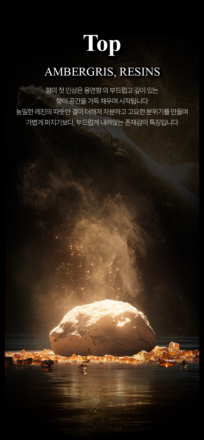 [백화점] 더 리더스 노트 위즈덤 아우라 오 드 퍼퓸 엠버리향, 30ml, 1개 상세 이미지 7