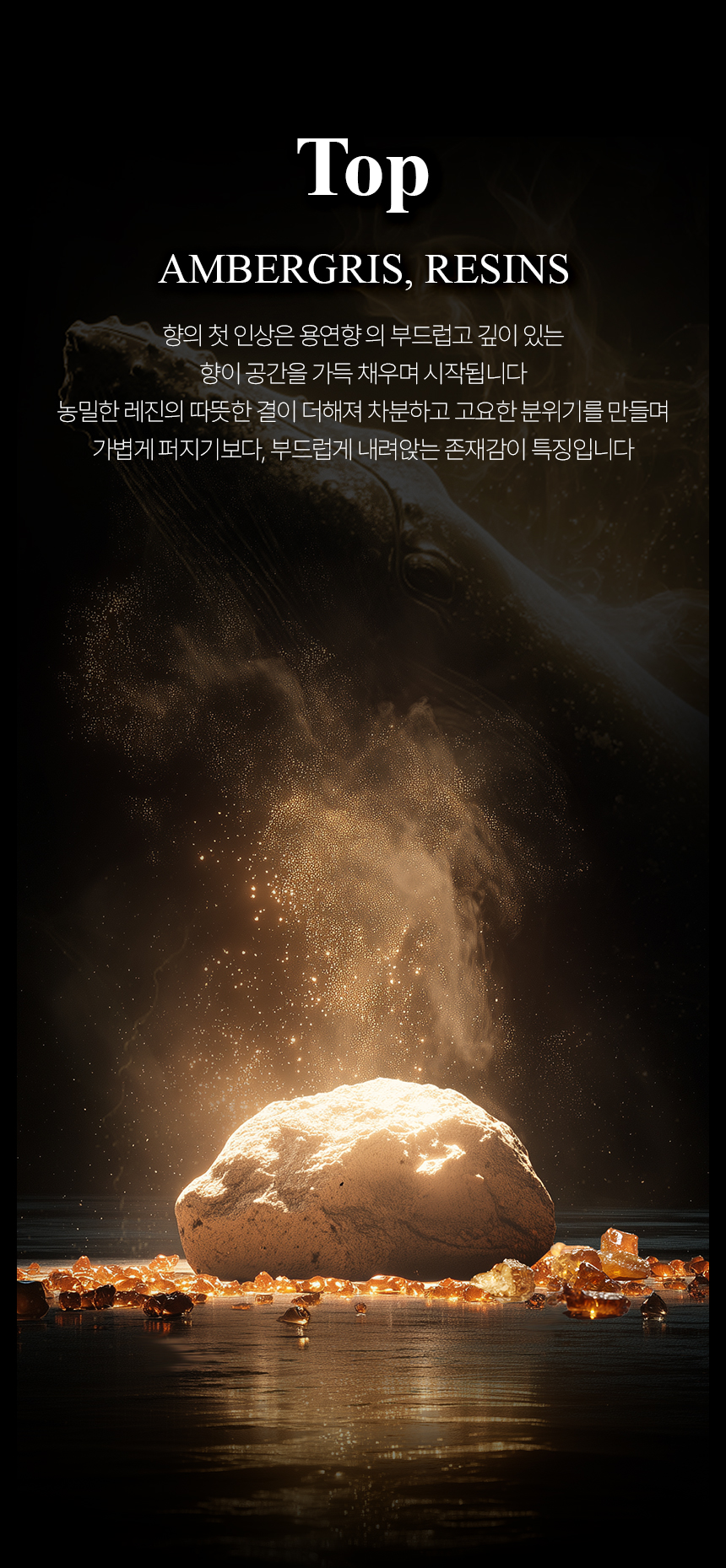 [백화점] 더 리더스 노트 위즈덤 아우라 오 드 퍼퓸 엠버리향, 60ml, 1개 상세 이미지 7