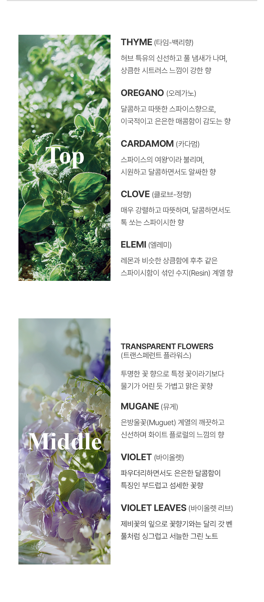 더 리더스 노트 퍼퓸 히알루론산 수분 바디로션 리프레시, 300ml, 1개 상세 이미지 13
