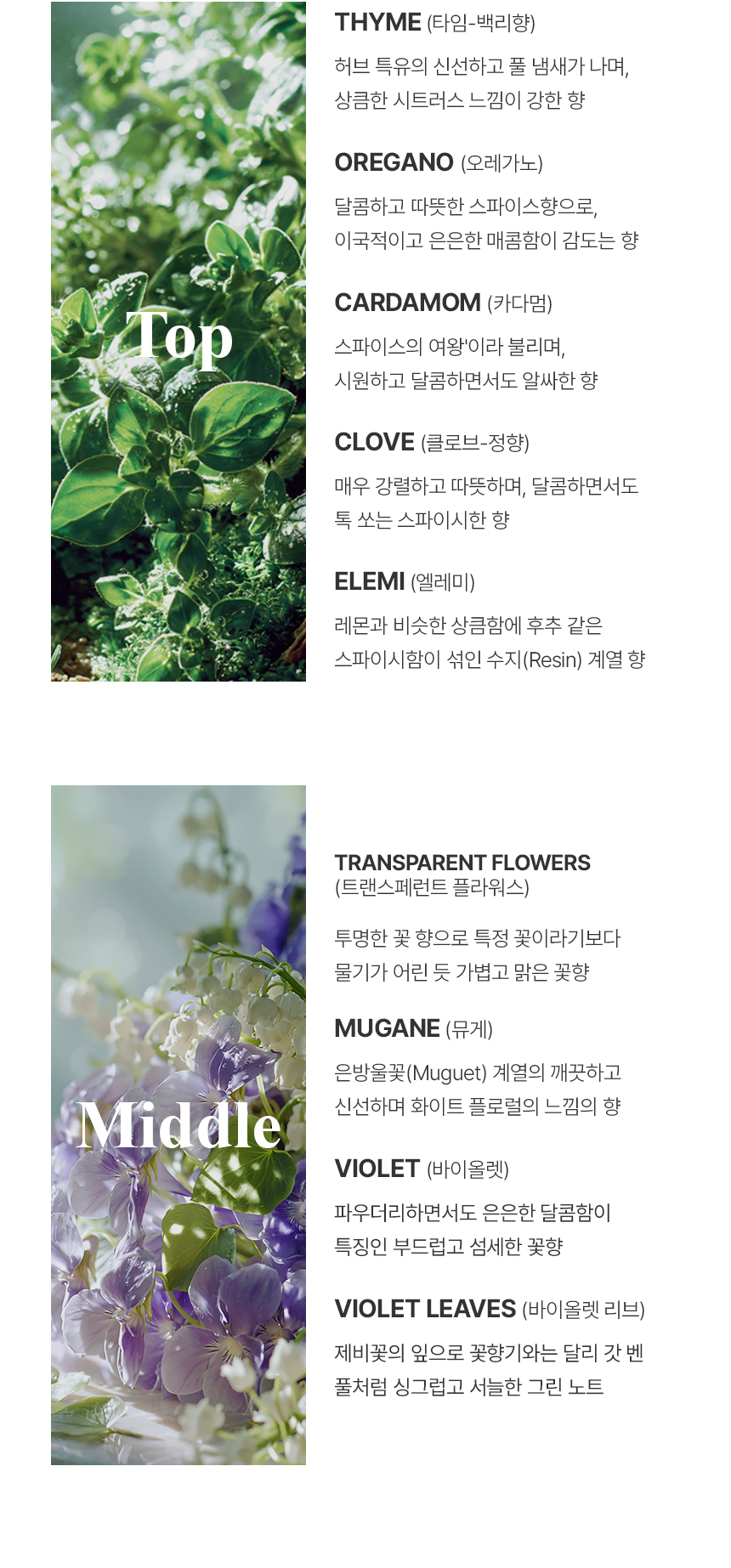더 리더스 노트 퍼퓸 핸드크림 시어 버터 리프레시, 30ml, 1개 상세 이미지 12