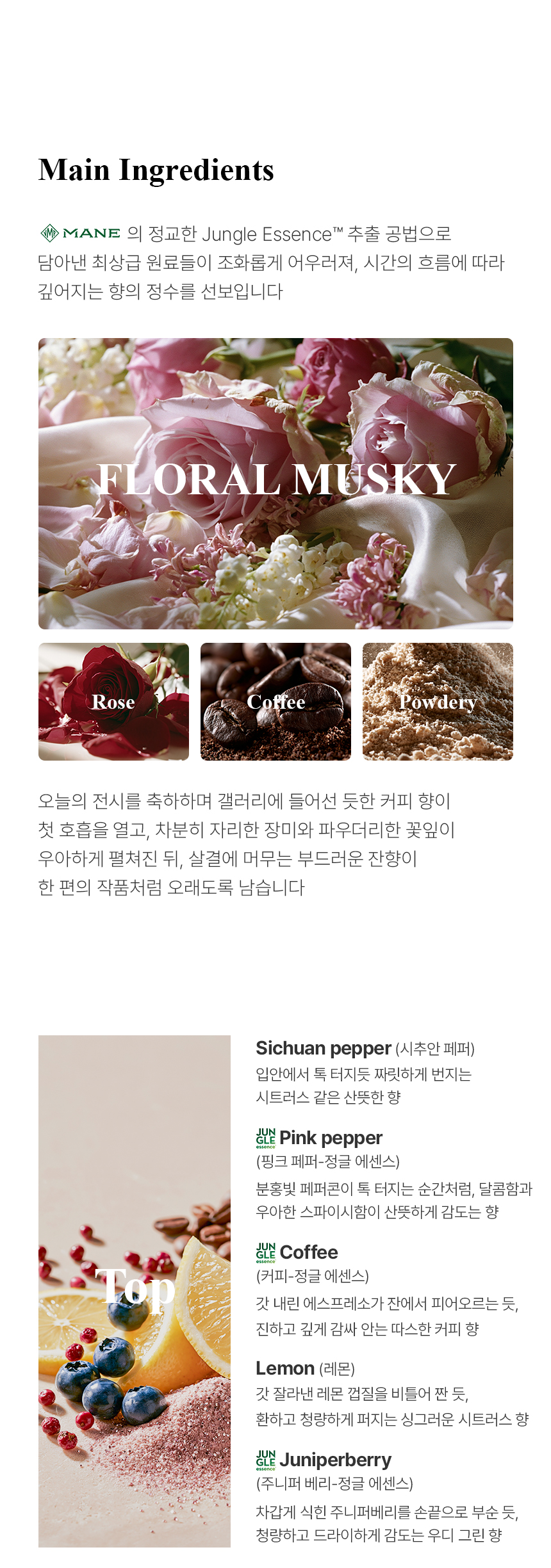 더 리더스 노트 퍼퓸 핸드크림 시어 버터 원더링 갤러리, 30ml, 1개 상세 이미지 10