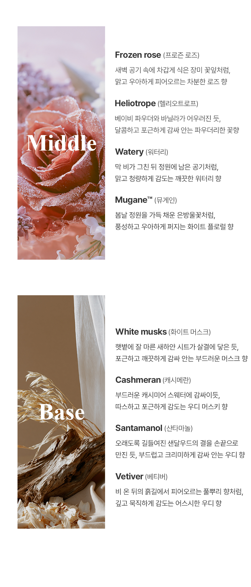 더 리더스 노트 퍼퓸 핸드크림 시어 버터 원더링 갤러리, 30ml, 1개 상세 이미지 11