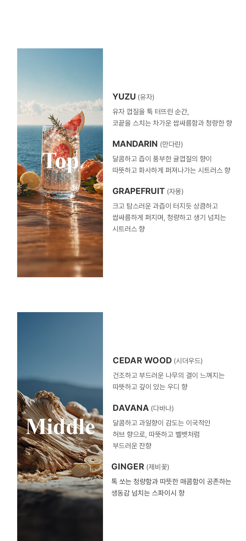 더 리더스 노트 퍼퓸 카 디퓨저 차량용 방향제 오픈마인드, 6g, 1개 상세 이미지 12