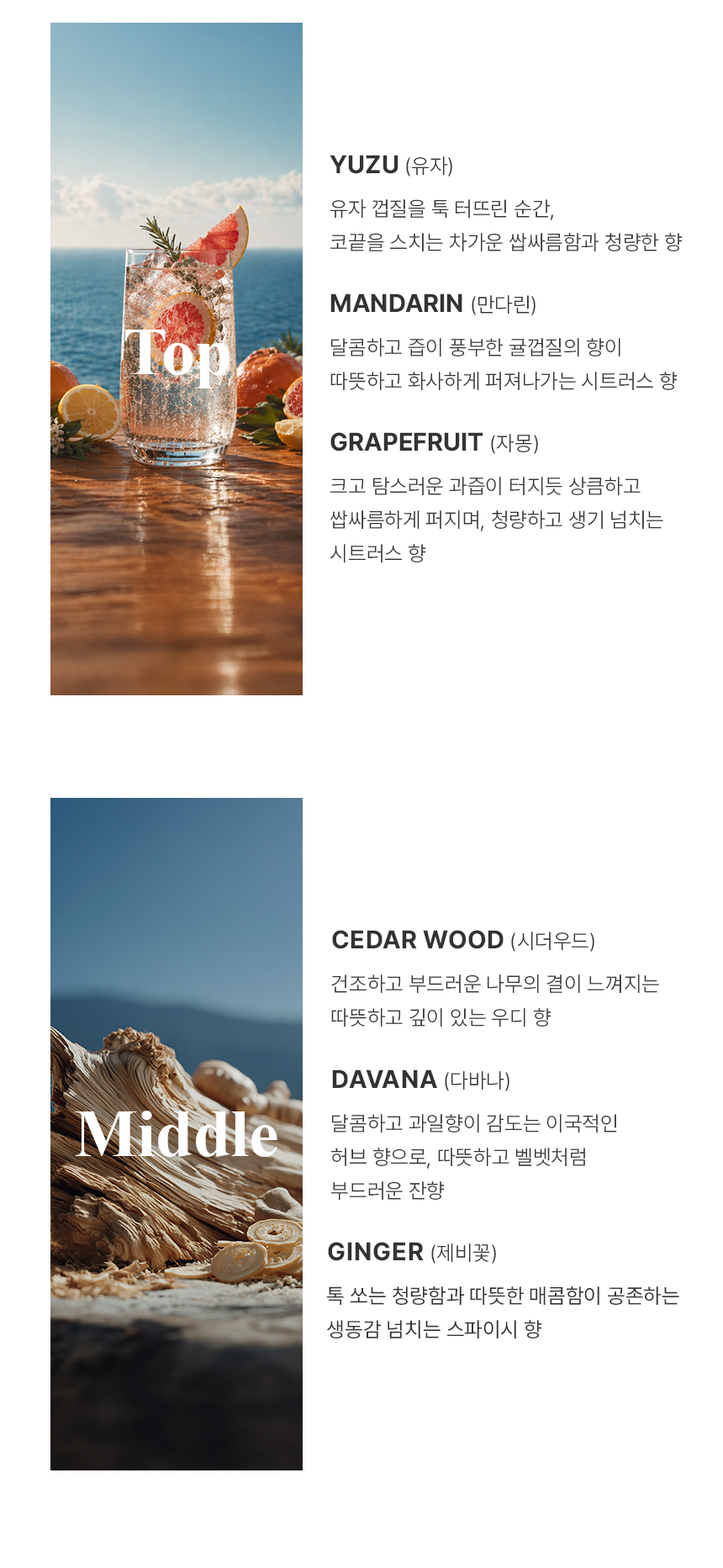 [백화점] 더 리더스 노트 퍼퓸 대용량 디퓨저 오픈마인드, 500ml 상세 이미지 13