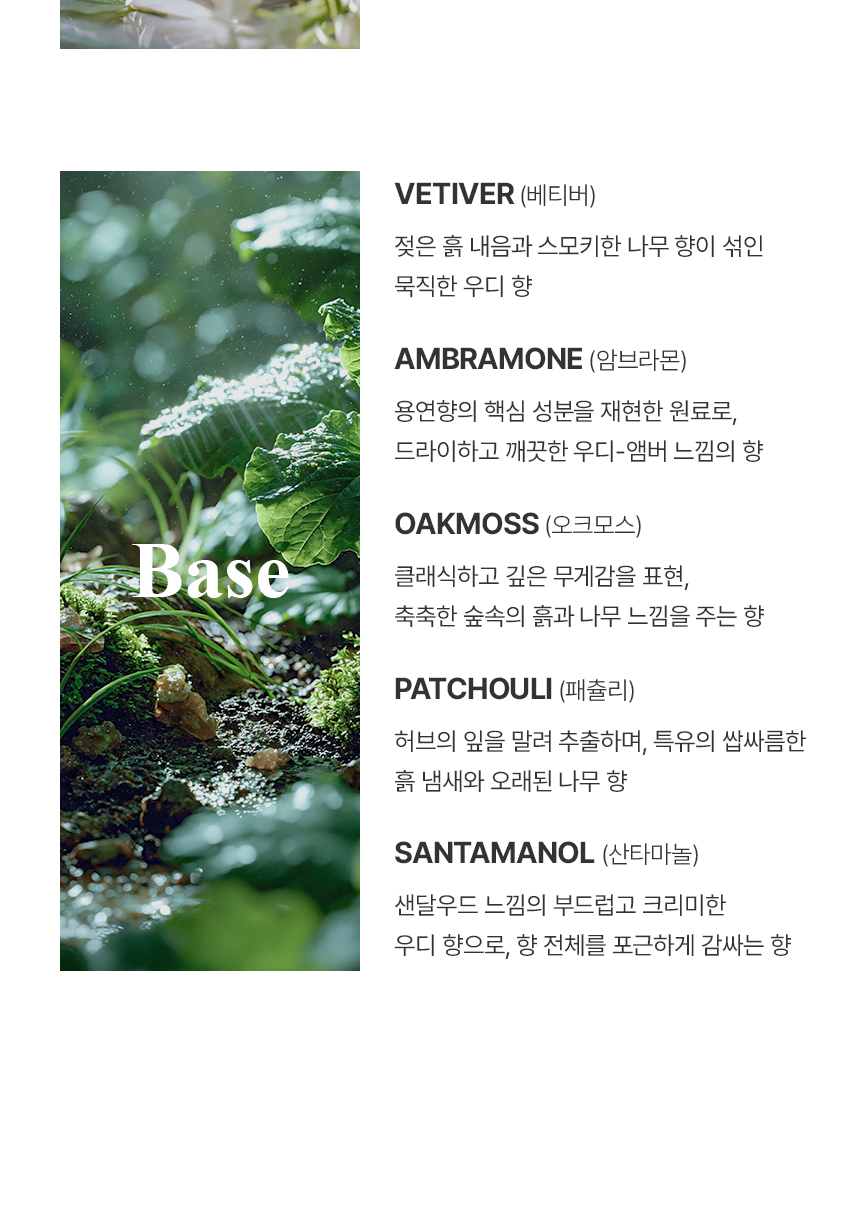 더 리더스 노트 퍼퓸 카 디퓨저 차량용 방향제 리프레시, 6g, 1개 상세 이미지 13