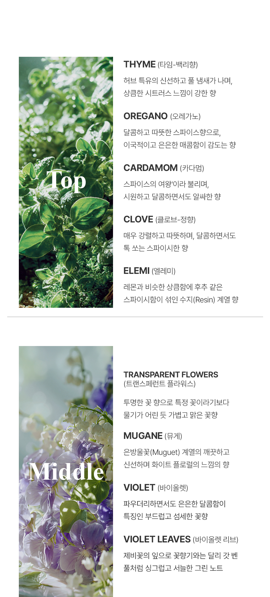 더 리더스 노트 퍼퓸 카 디퓨저 차량용 방향제 리필 리프레시, 6g, 1개 상세 이미지 10