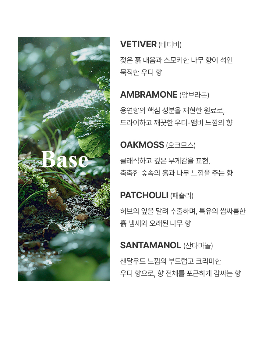 더 리더스 노트 퍼퓸 카 디퓨저 차량용 방향제 리필 리프레시, 6g, 1개 상세 이미지 11