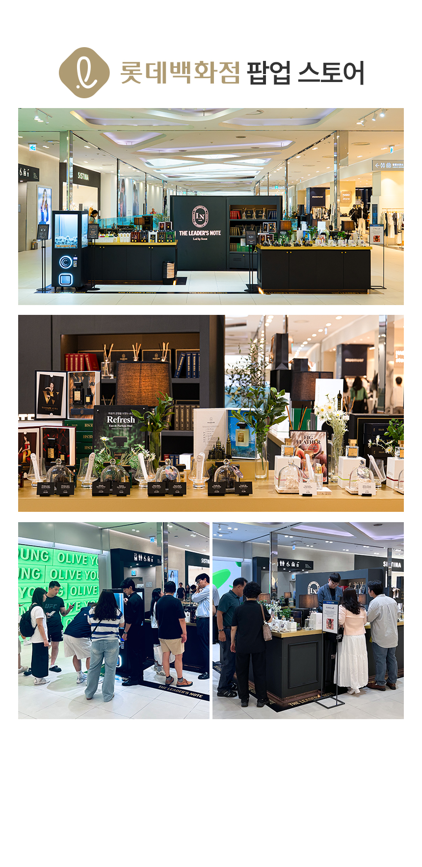 [백화점] 더 리더스 노트 퍼퓸 대용량 디퓨저 리프레시, 500ml 상세 이미지 3