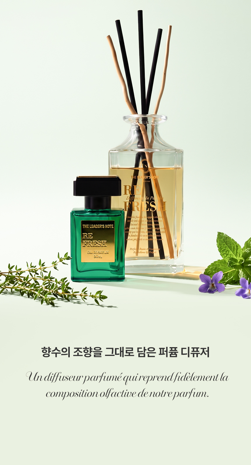 [백화점] 더 리더스 노트 퍼퓸 대용량 디퓨저 리프레시, 500ml 상세 이미지 5