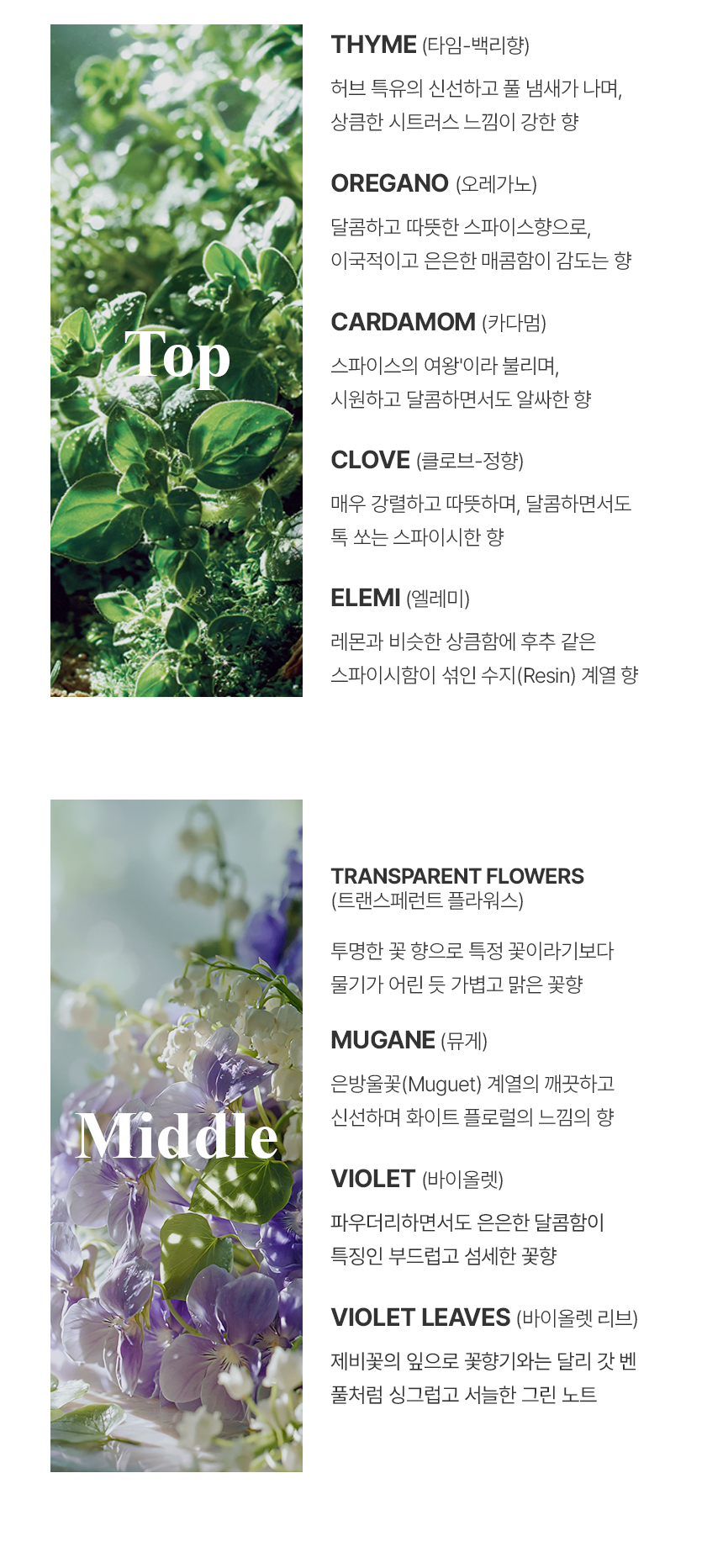 [백화점] 더 리더스 노트 퍼퓸 대용량 디퓨저 리프레시, 500ml 상세 이미지 13