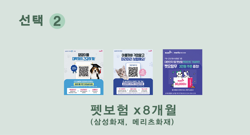 Choice_02.jpg