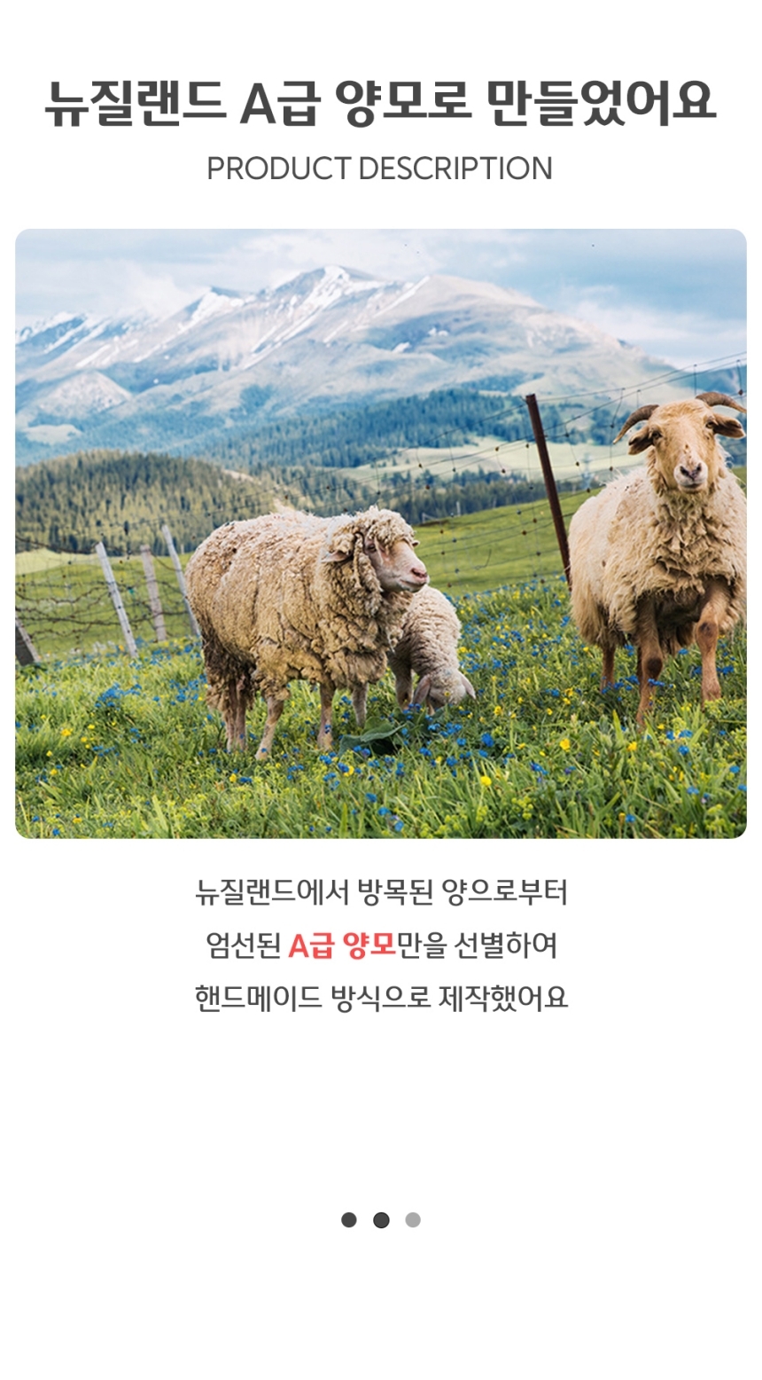PP231205LN08_zB_110_PDD.jpg
