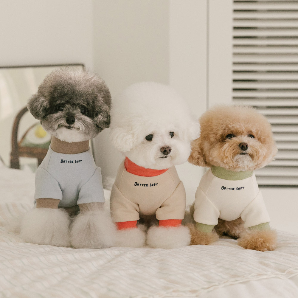 펫츠랜드 버터소프트올인원 3color S-2XL