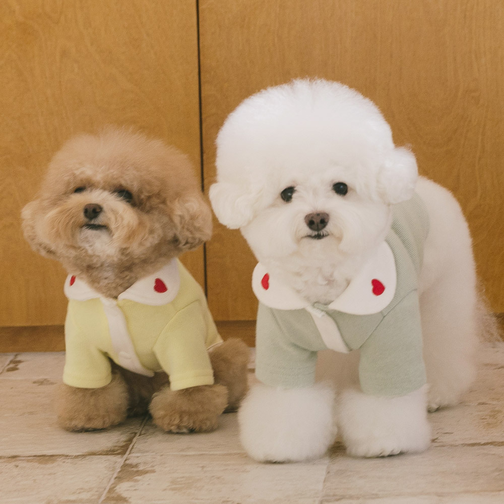 펫츠랜드 하트퐁가디건 3color S-2XL