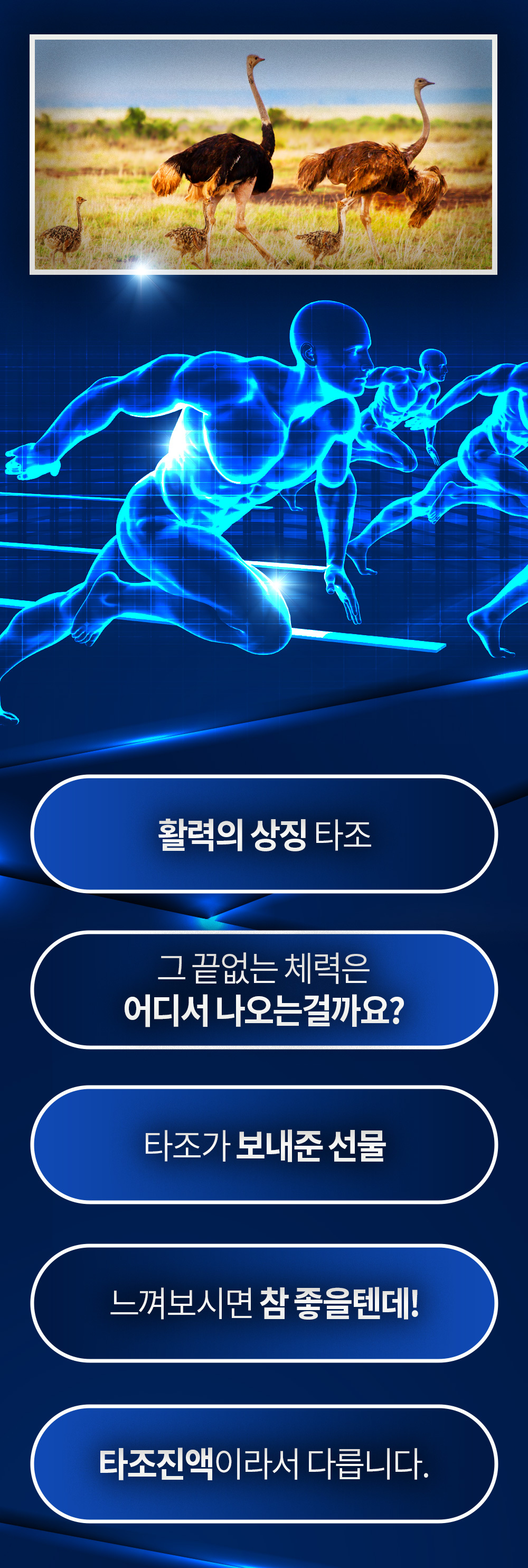 %ED%95%98%EB%A3%A8%EC%8E%881_04.jpg