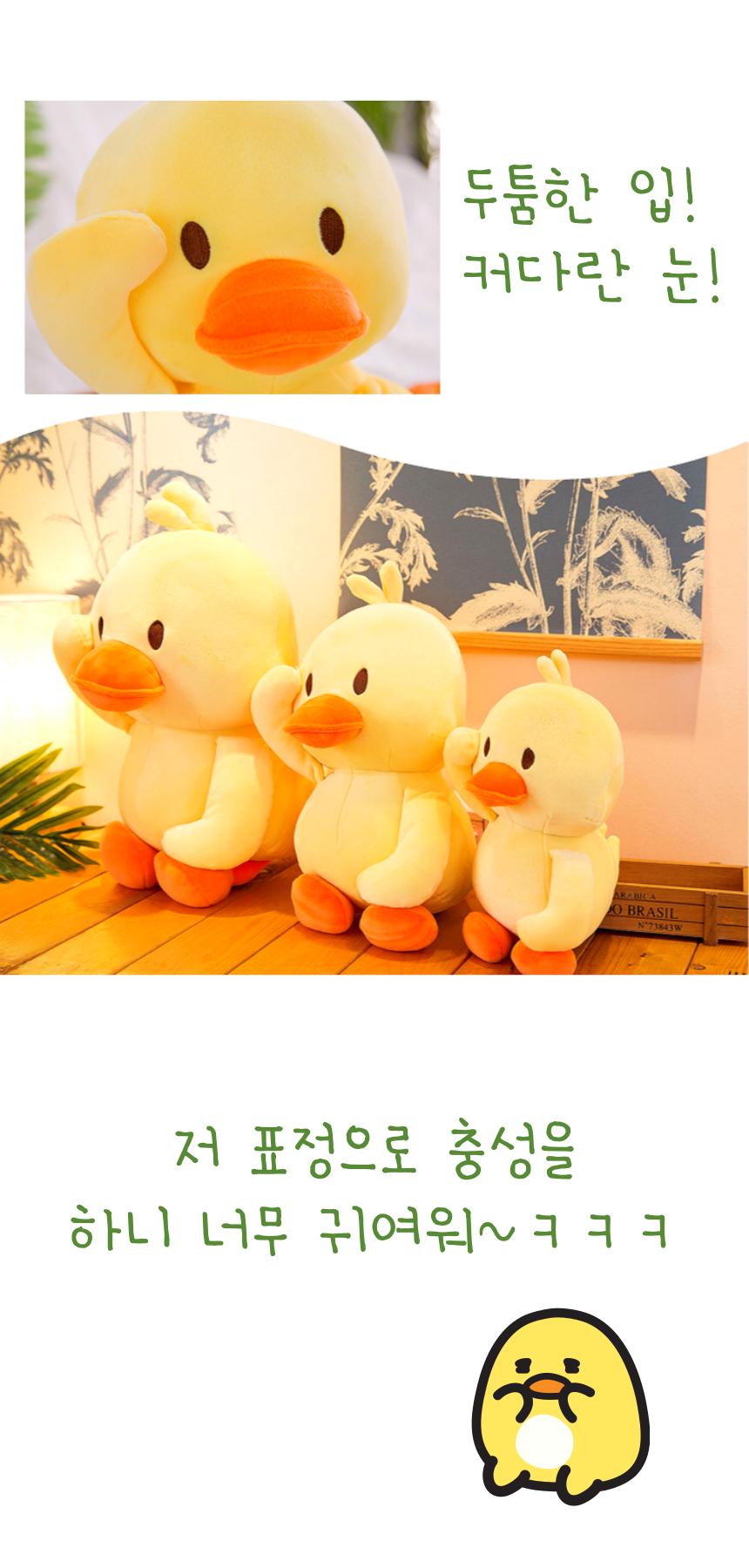충성오리 002.png