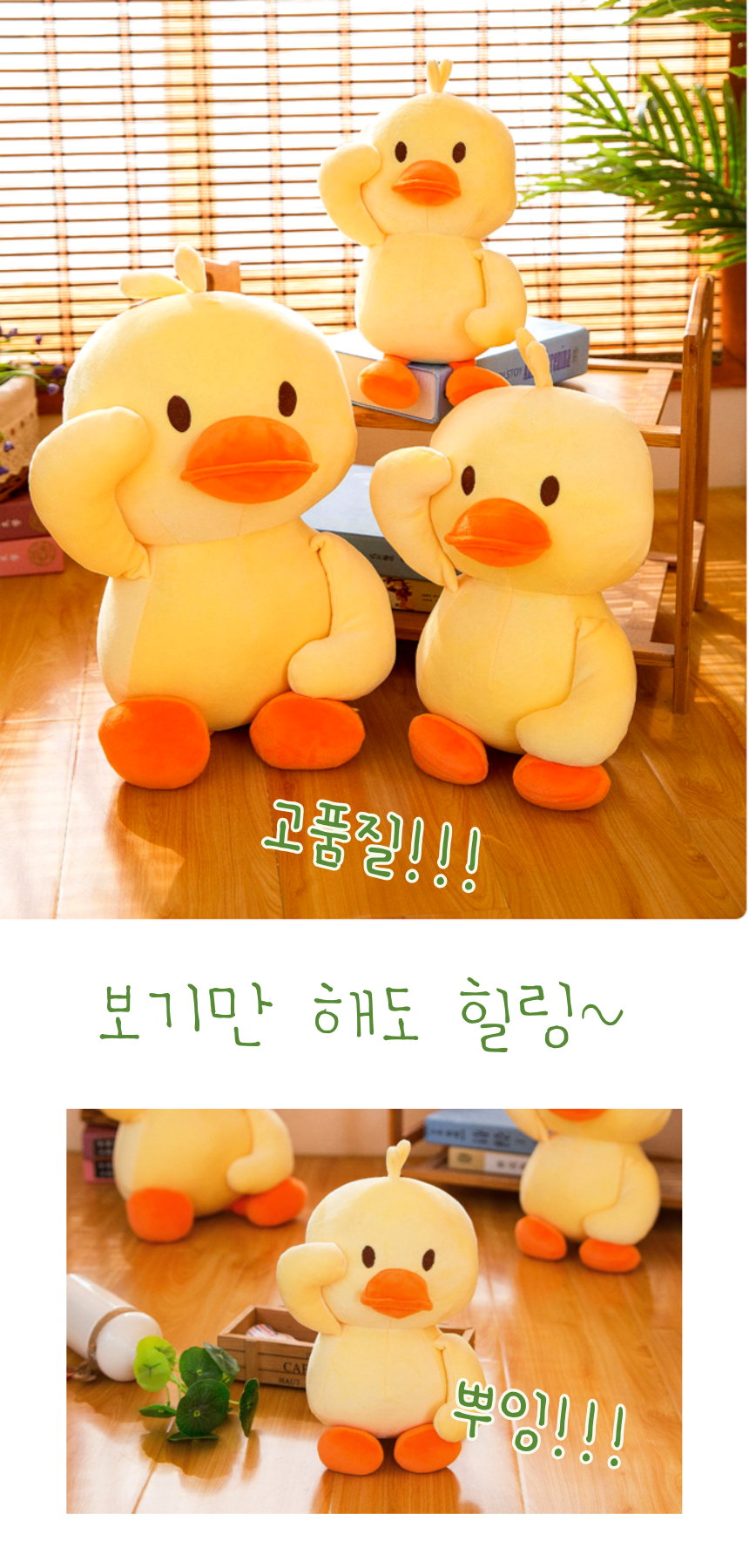 충성오리 008.png