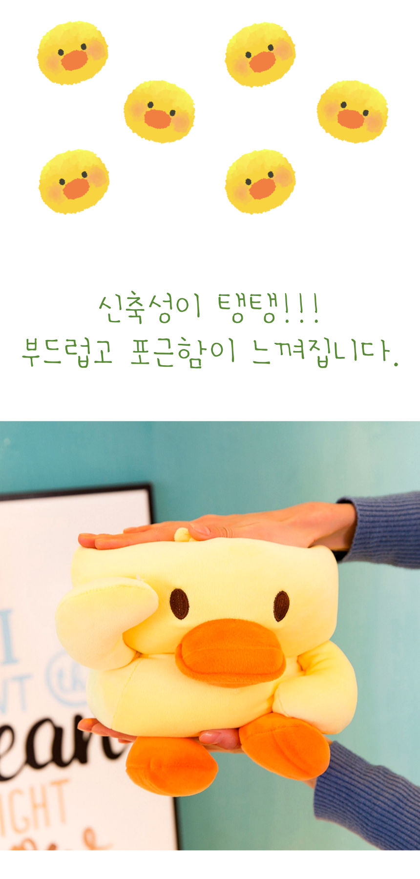 충성오리 009.png