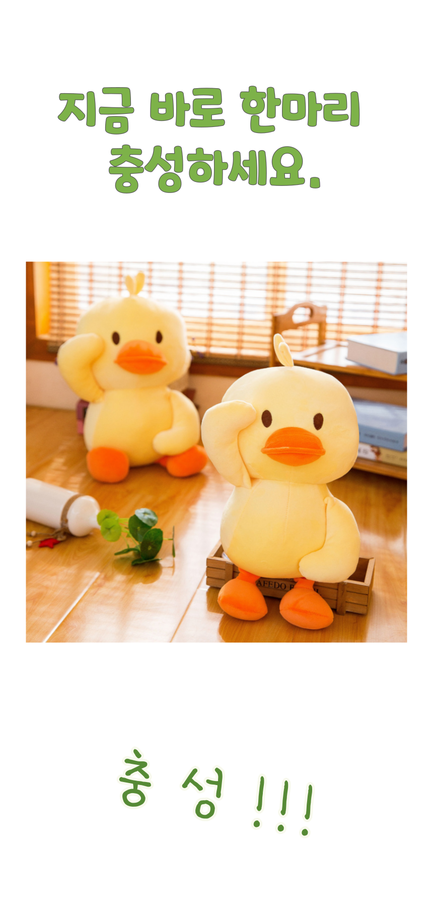 충성오리 011.png
