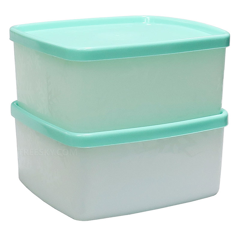 타파웨어 아이스 플라워 주니어 직사각 냉동용기세트-2개/400ml/민트그린 (370-4) #0