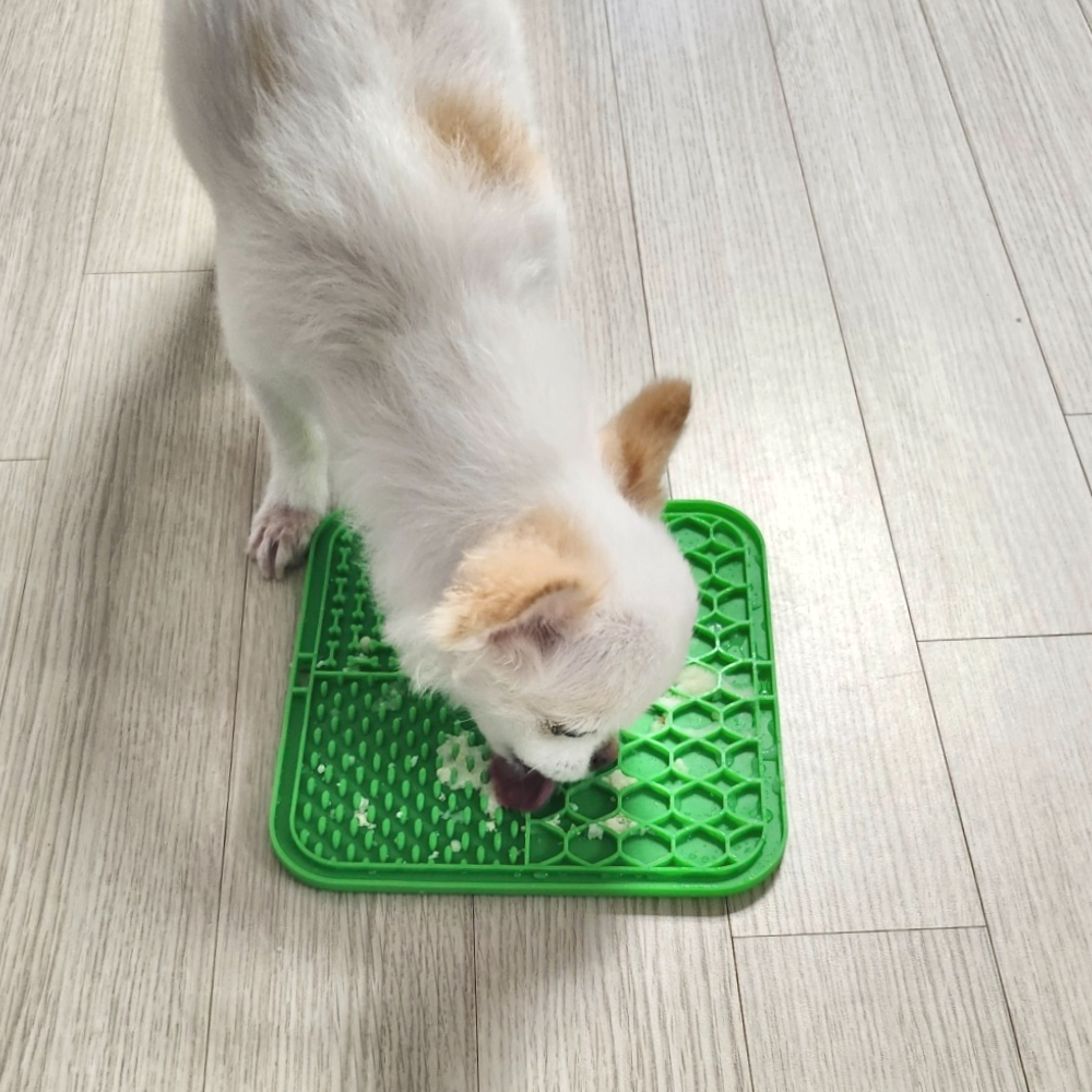 냄비받침대실리콘 라인접시대용량 애완용원형 이중그릇 특대식기 이중보온식기 애완동물용품 식탁용도자기 슬림식기 단체용식기세트 키즈실내식기 고양이 리키매트 강아지 슬로우식기 식기