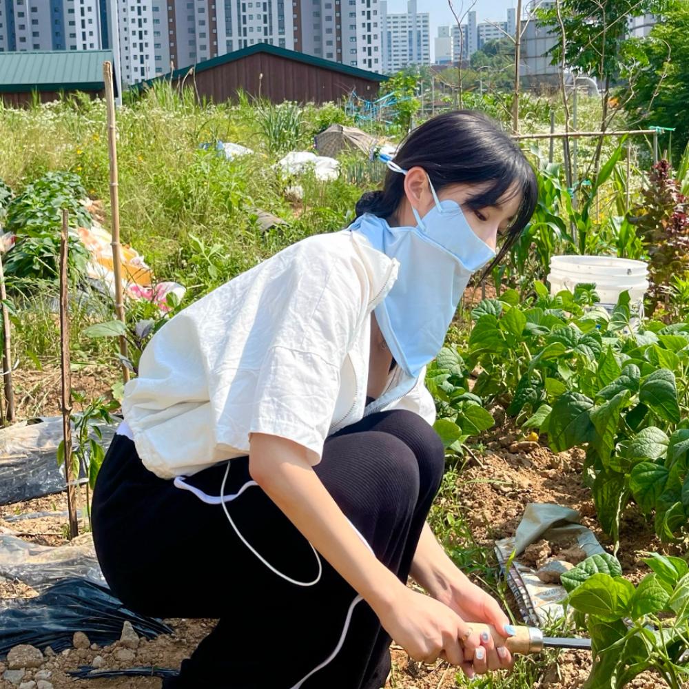 여름멀티스카프 귀도리 소독스프레이 얼굴보호용품 겨울스포츠액세서리 방독면필터 고글용품 클린숨KF-AD대형 귀도리방한 햇빛차단보호용품 얼굴 햇볕차단 블루 햇빛가리개 마스크