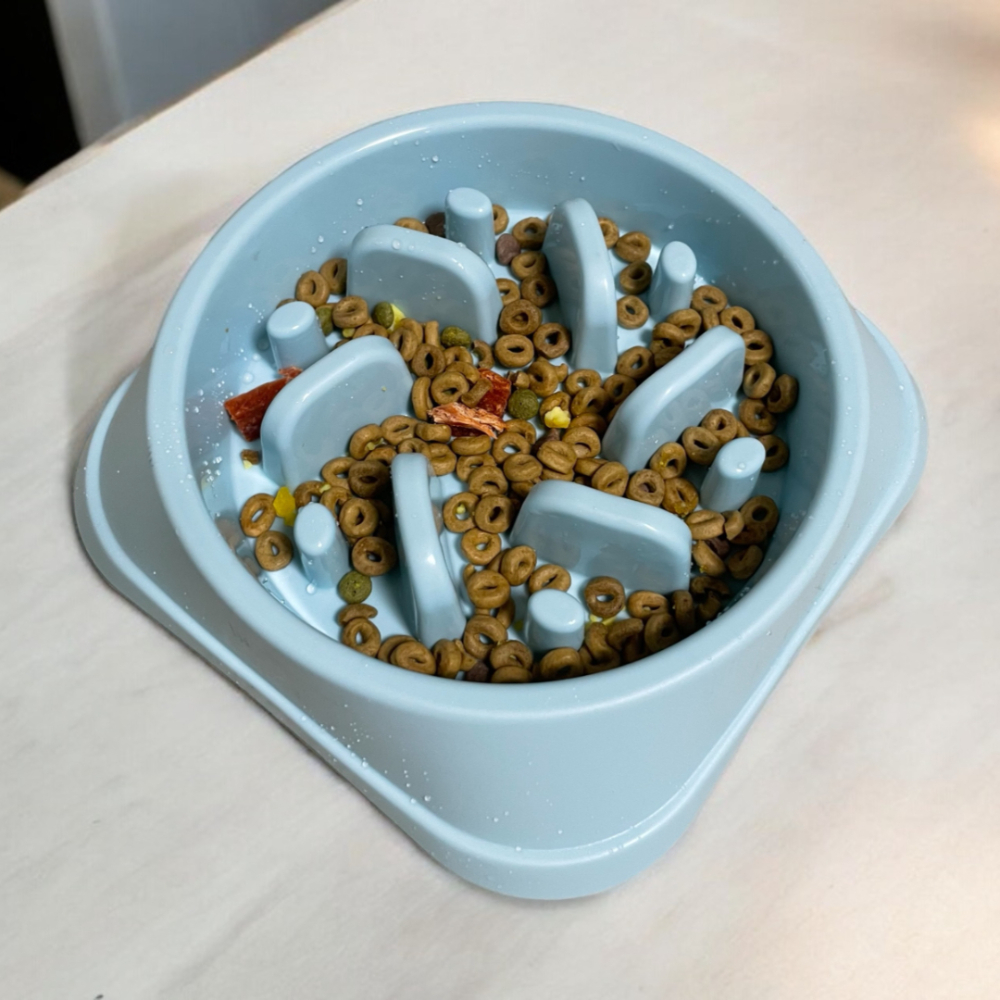 반려동물밥그릇 애완동물급식그릇 물그릇 놋그릇 우드밥그릇 조리용밥그릇 밥그릇세트 식기세트 공장용스테인리스그릇 뚜껑밥그릇 블랙체크밥그릇 강아지 라이트컬러 급체방지 밥그릇