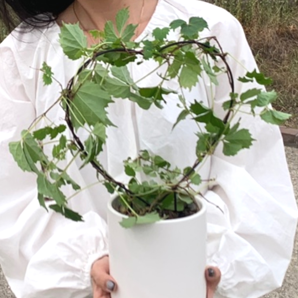 식물라벨이름표 화분걸이 더치메이드화분 화원도구 실내재배화분 식물네임택 루전화분 캐릭터화분 미니텃밭가꾸기세트 선인장화분 화분블랙 화분집모양 원형 하트모양 넝쿨 식물지지대 화분