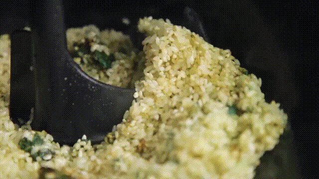 14.gif