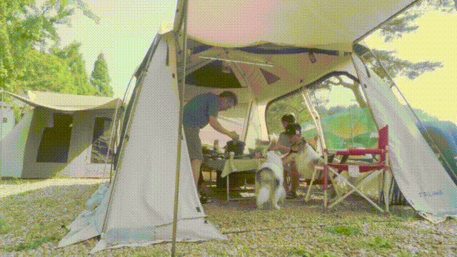 5.gif
