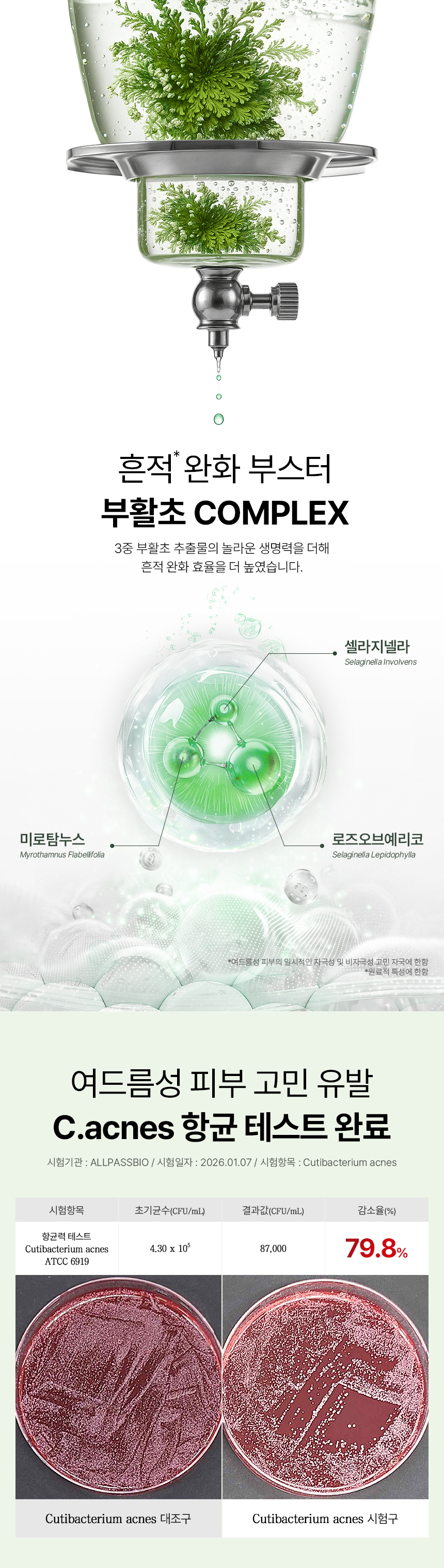 네버우드 펩타이드 앤 시카리페어 크림 상세 이미지 5
