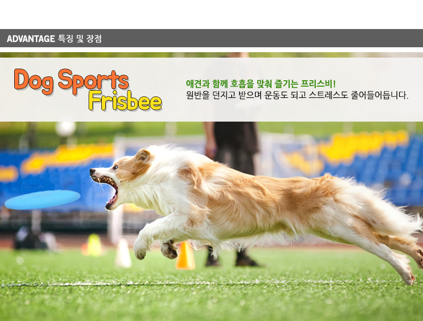 강아지 놀이용 원반 일반형 상세 이미지 3