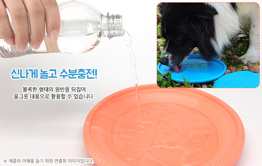 강아지 놀이용 원반 일반형 상세 이미지 5