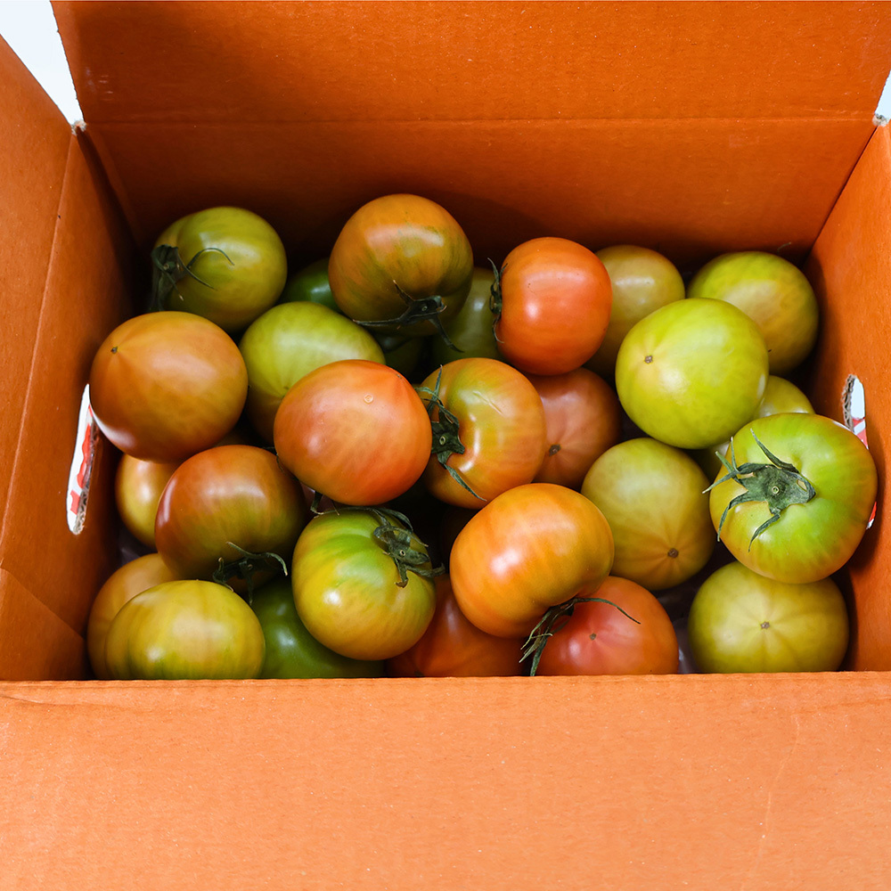 짭짤이(대저토마토) L,M,S 2.5kg