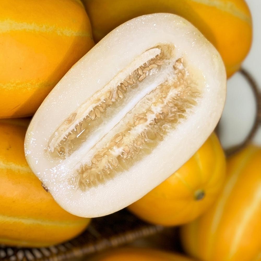 ★주말특가★3/31출고 [1일1과]17brix 보장 고당도 프리미엄 정품 성주 참외