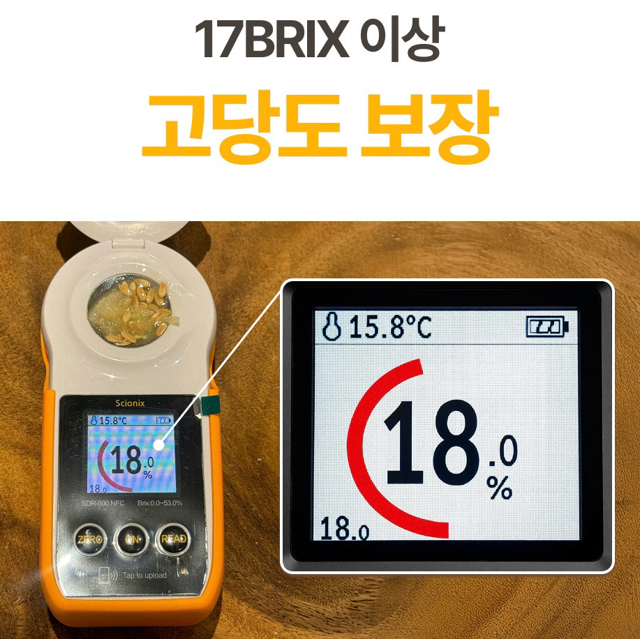 [1일1과]17brix 보장 고당도 프리미엄 정품 성주 참외