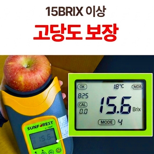 [1일1과]15brix 보장 고당도 프리미엄 정품 경북 사과