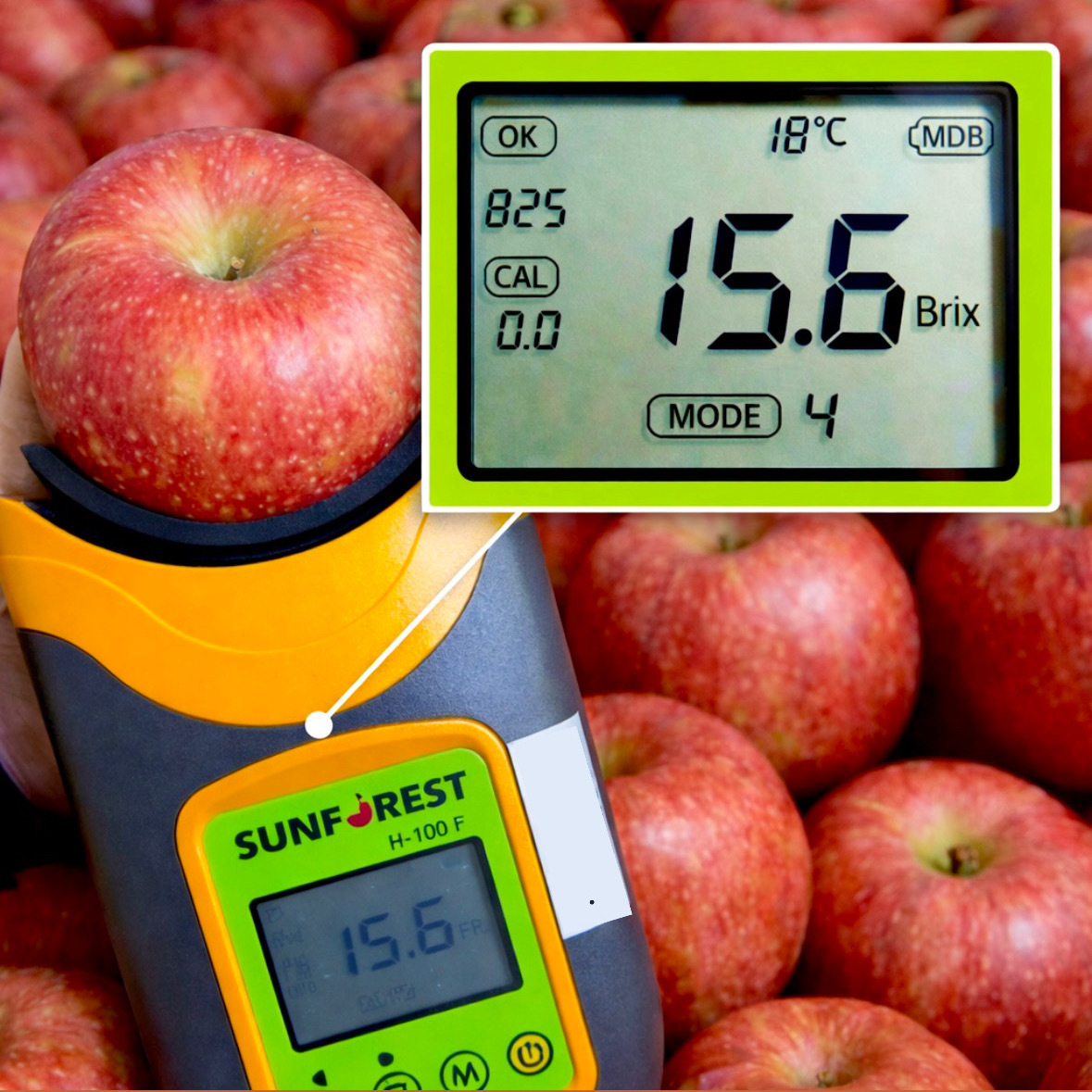 ★주말특가★3/31출고 [1일1과]15brix 보장 고당도 프리미엄 정품 경북 사과