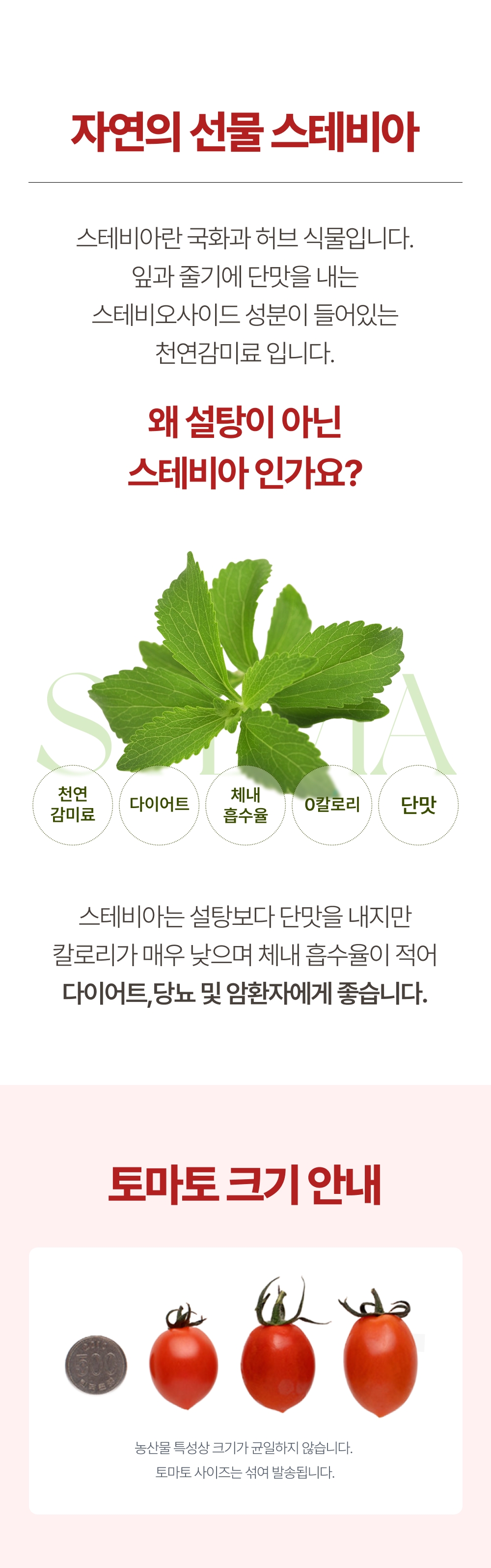 [1일1과]고당도 스테비아 프리미엄 방울토마토